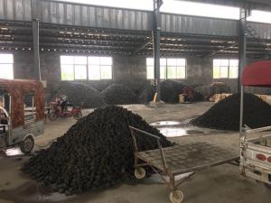 廠區廠貌展示